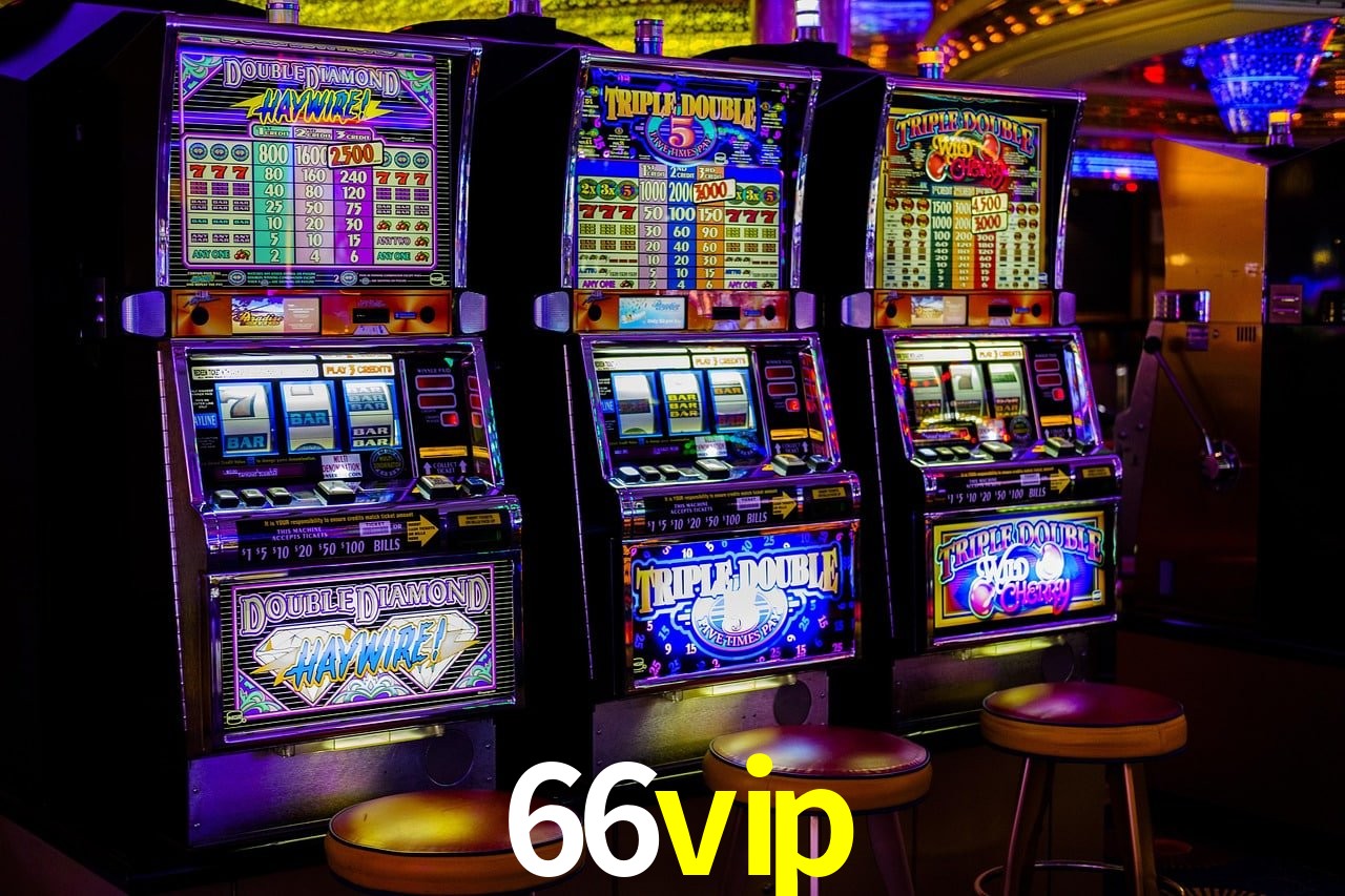 Experiência VIP 66vip